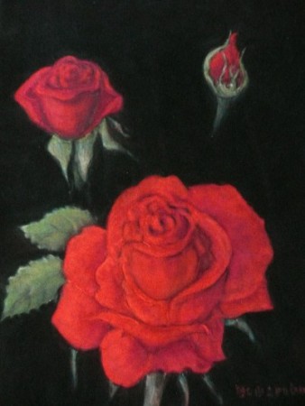 Roses  de Marianne Pastel